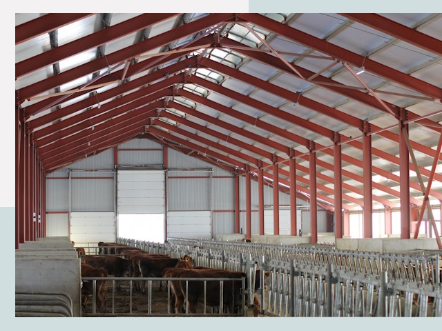 Строительство коровников в Большом Камне