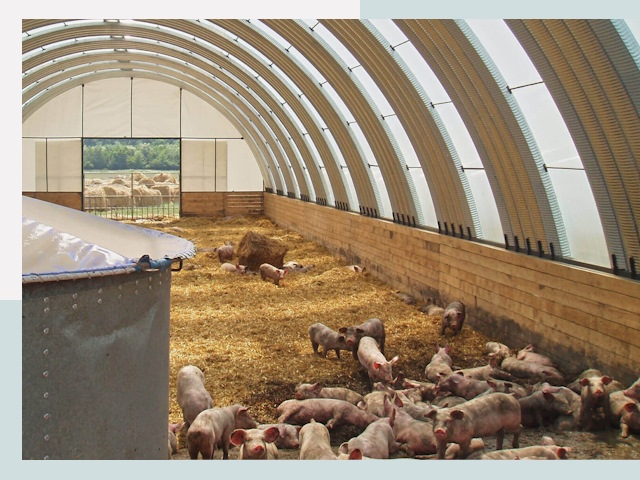 Строительство свинарников в Большом Камне