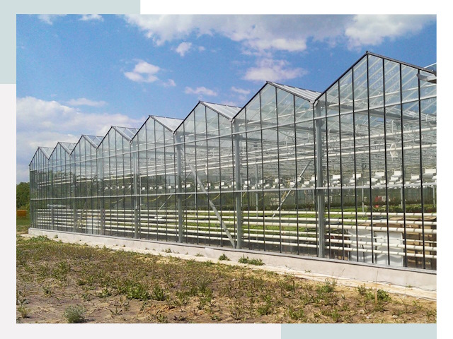 Строительство теплиц в Большой Камень от 608 руб. за м²